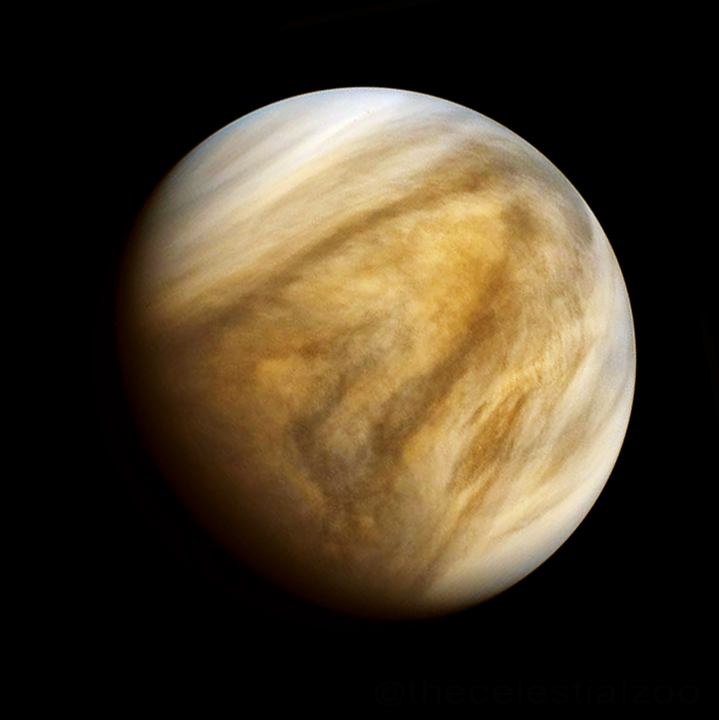 Image of Venus