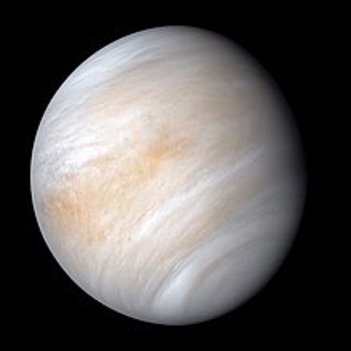 image of venus